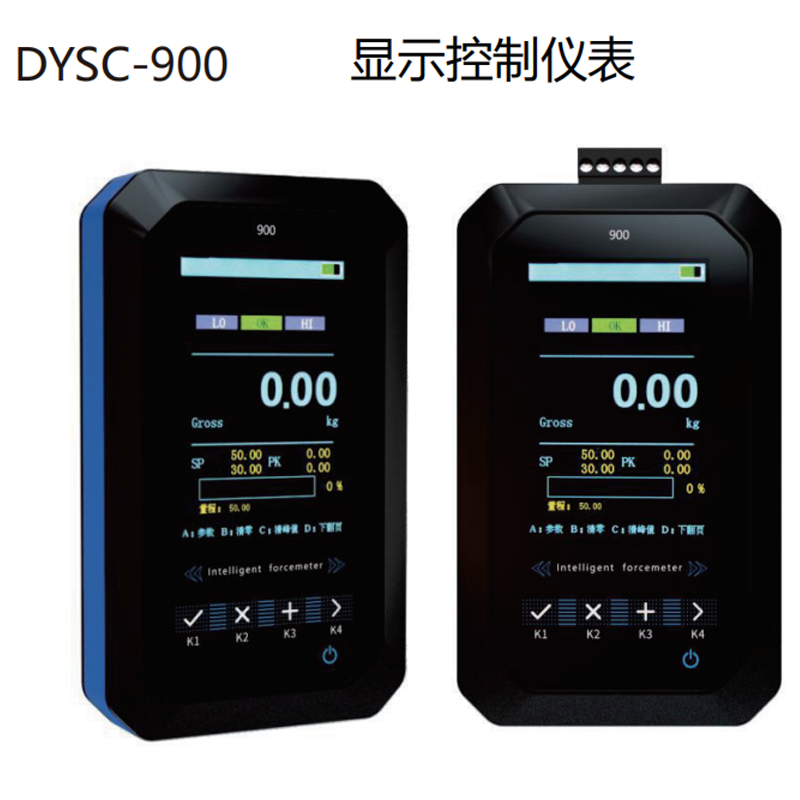 仪表DYSC-900显示控制仪表